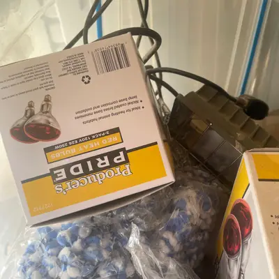 Heat bulbs and mop