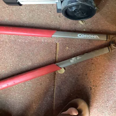 Corona telescoping pole pruner