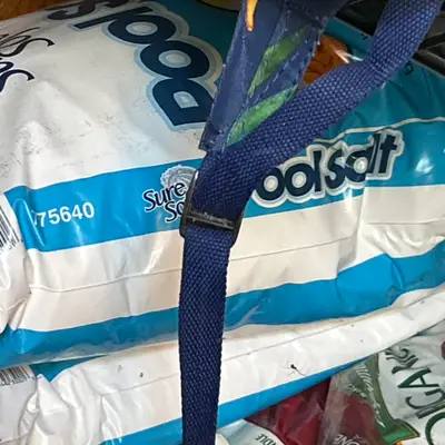Pool salt bags