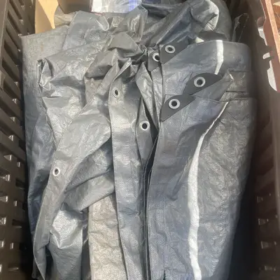 Tarp