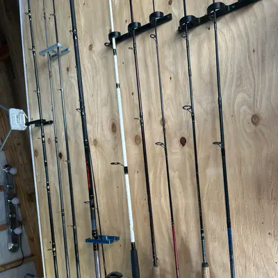 Fishing Rods & Reels