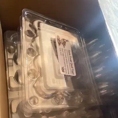 Plastic quail egg cartons