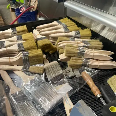 Paint brushes (lot)