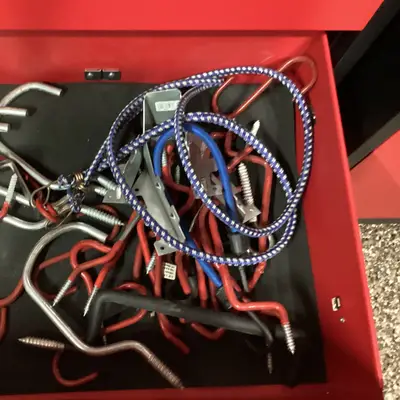 Storage hooks and bungee cords